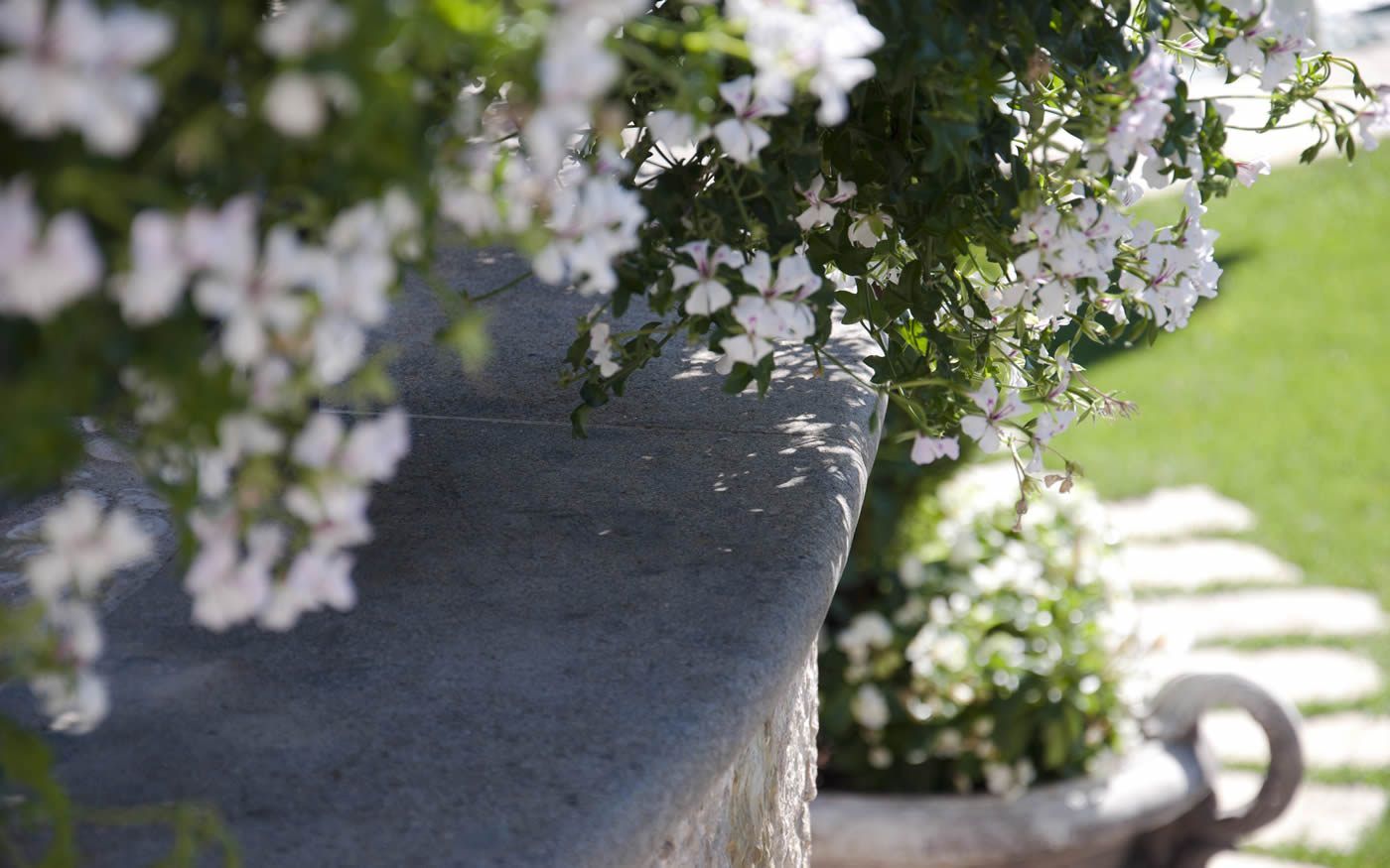 Arredo giardino: PERCHE’ scegliere il PEPERINO.